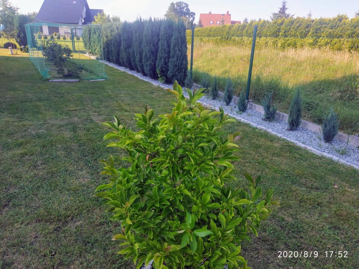 Gorskie Marzenie Przeciszow Esterno foto